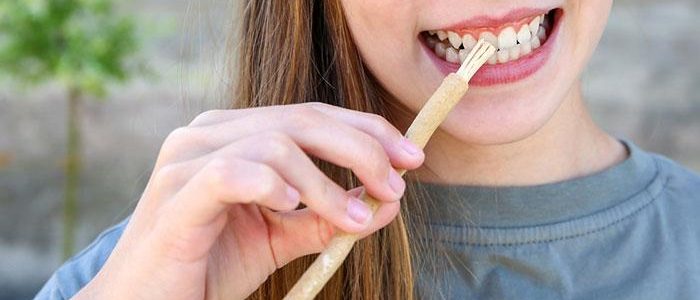 Mitos atau Fakta: Apakah Siwak Benar-Benar Bisa Mencerahkan Gigi? Kupas Tuntas Secara Ilmiah