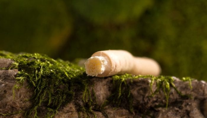 Mitos atau fakta siwak bisa mencerahkan gigi